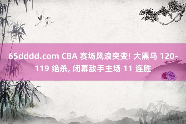 65dddd.com CBA 赛场风浪突变! 大黑马 120