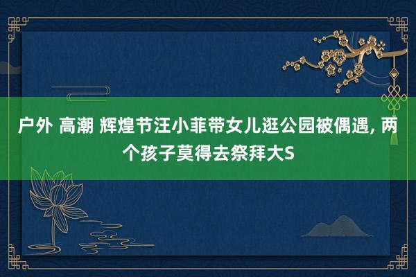 户外 高潮 辉煌节汪小菲带女儿逛公园被偶遇, 两个孩子莫得去