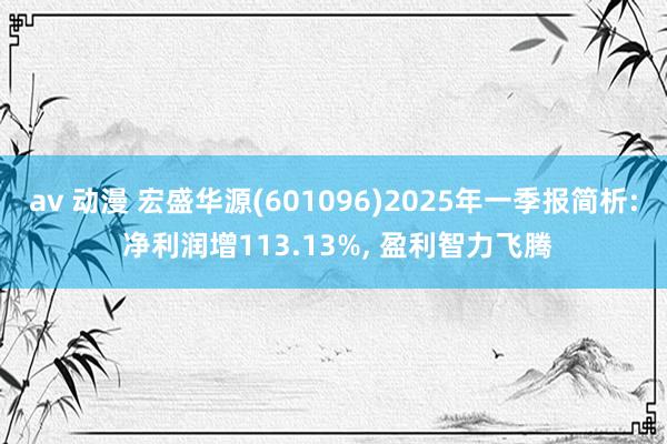 av 动漫 宏盛华源(601096)2025年一季报简析: 