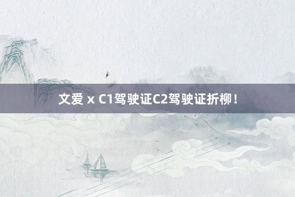 文爱 x C1驾驶证C2驾驶证折柳！