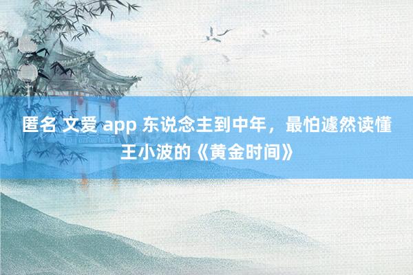 匿名 文爱 app 东说念主到中年，最怕遽然读懂王小波的《黄