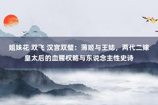 姐妹花 双飞 汉宫双璧：薄姬与王娡，两代二嫁皇太后的血腥权略